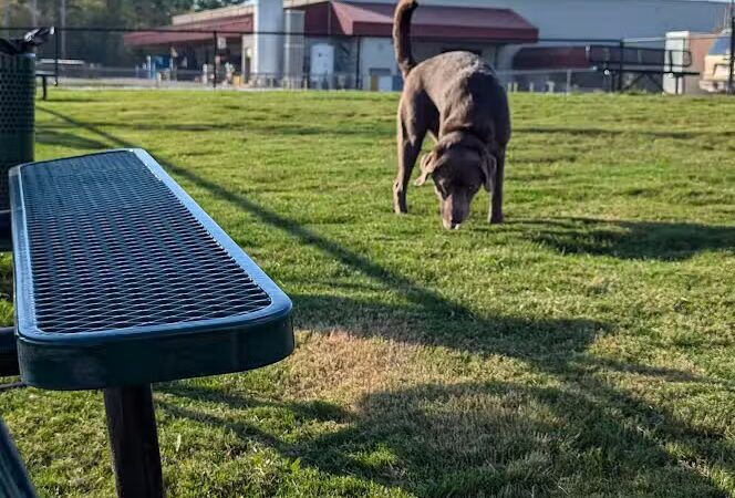 Dog Park at Love's Travel Stops - Hillsboro, TN