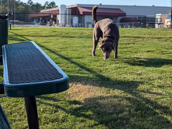 Dog Park at Love's Travel Stops - Hillsboro, TN