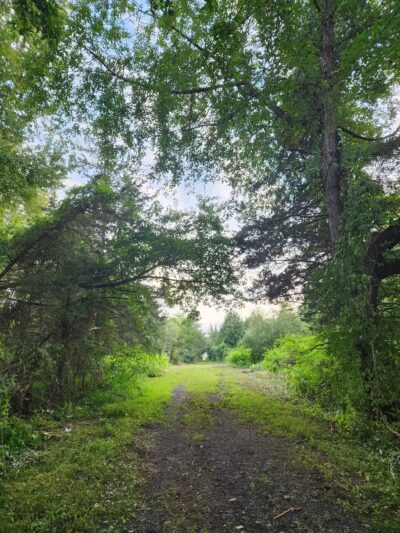 Ann Van Middlesworth Park - Hillsborough Township, NJ
