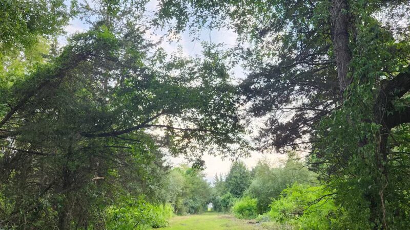 Ann Van Middlesworth Park - Hillsborough Township, NJ