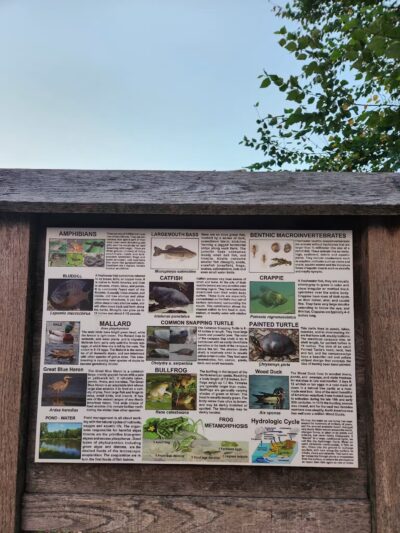 Ann Van Middlesworth Park - Hillsborough Township, NJ