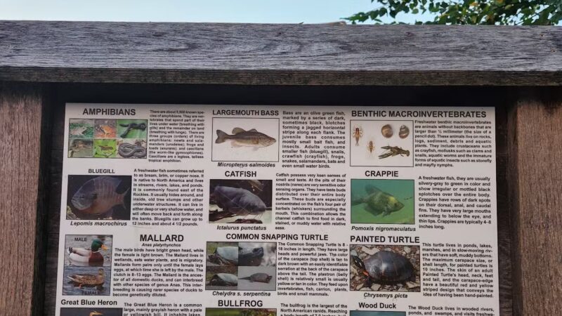 Ann Van Middlesworth Park - Hillsborough Township, NJ