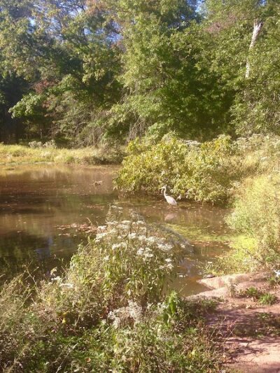 Ann Van Middlesworth Park - Hillsborough Township, NJ