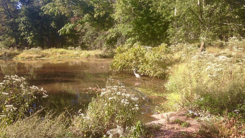 Ann Van Middlesworth Park - Hillsborough Township, NJ