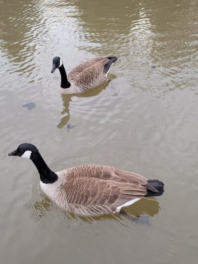 Ann Van Middlesworth Park - Hillsborough Township, NJ