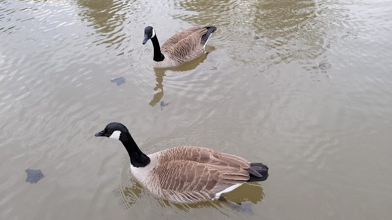 Ann Van Middlesworth Park - Hillsborough Township, NJ
