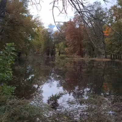 Hillsborough Dog Park - Hillsborough Township, NJ