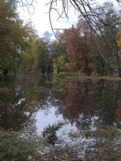 Hillsborough Dog Park - Hillsborough Township, NJ