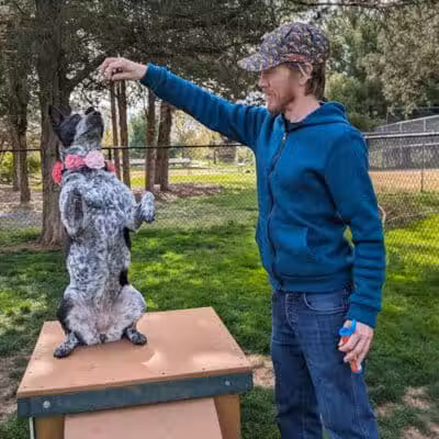 Hillsborough Dog Park - Hillsborough Township, NJ