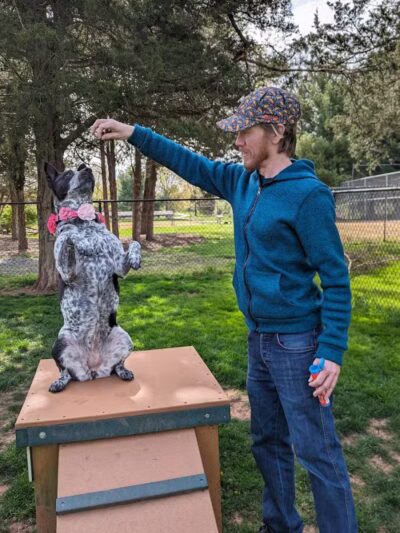 Hillsborough Dog Park - Hillsborough Township, NJ