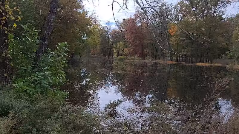 Hillsborough Dog Park - Hillsborough Township, NJ