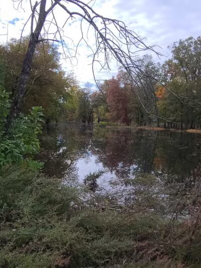 Hillsborough Dog Park - Hillsborough Township, NJ