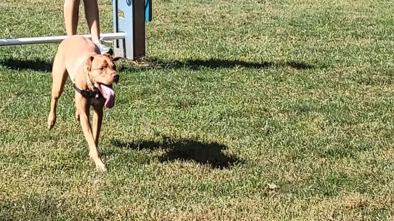 Hillsborough Dog Park - Hillsborough Township, NJ