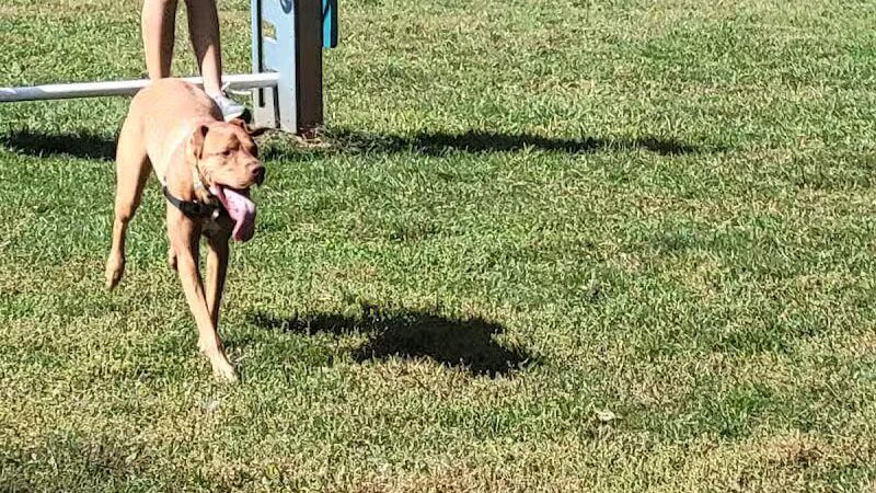 Hillsborough Dog Park - Hillsborough Township, NJ