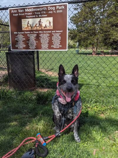 Hillsborough Dog Park - Hillsborough Township, NJ