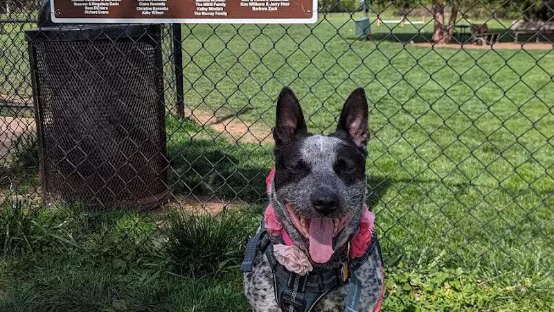 Hillsborough Dog Park - Hillsborough Township, NJ