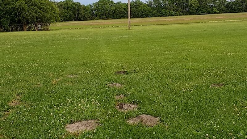 Hillsdale Park - Hillsdale, IL