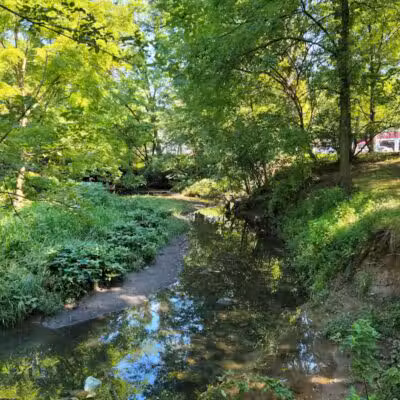 Elizabeth River Park - Hillside, NJ