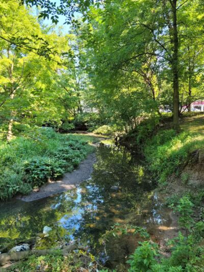 Elizabeth River Park - Hillside, NJ