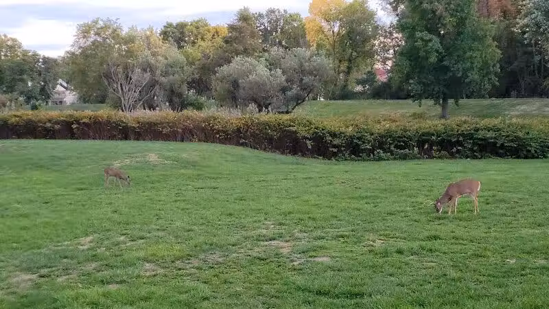 Elizabeth River Park - Hillside, NJ