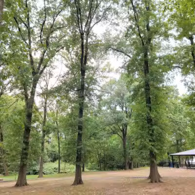 Elizabeth River Park - Hillside, NJ