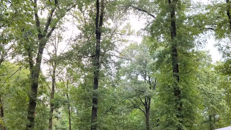 Elizabeth River Park - Hillside, NJ