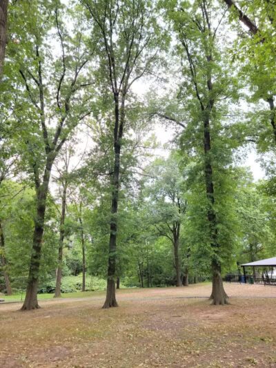 Elizabeth River Park - Hillside, NJ