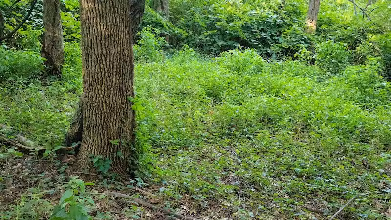 Elizabeth River Park - Hillside, NJ