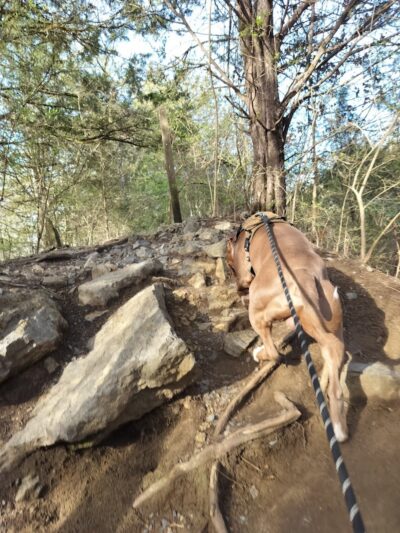 Greenway Farm Park - Hixson, TN