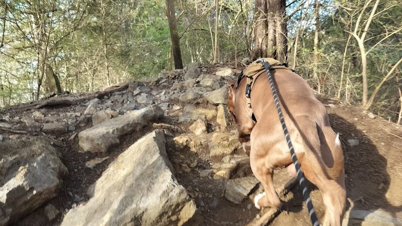 Greenway Farm Park - Hixson, TN