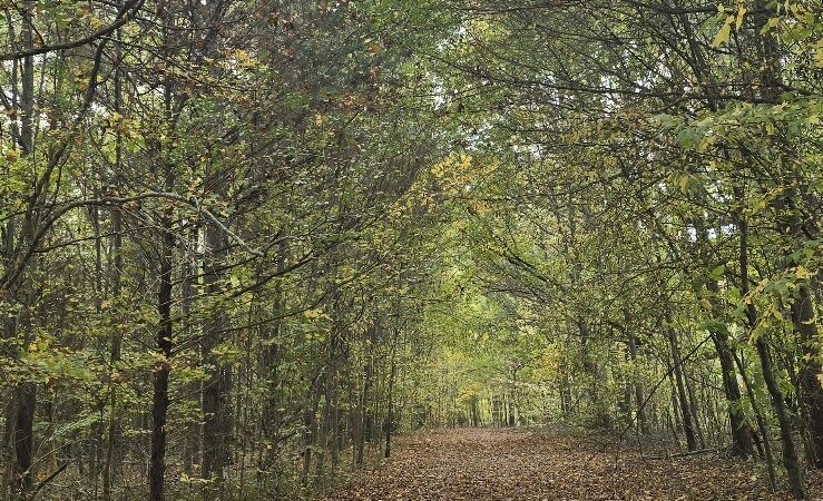 Greenway Farm Park - Hixson, TN