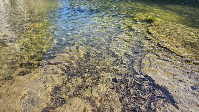 Greenway Farm Park - Hixson, TN