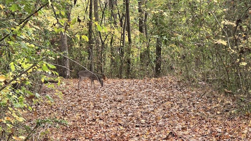 Greenway Farm Park - Hixson, TN