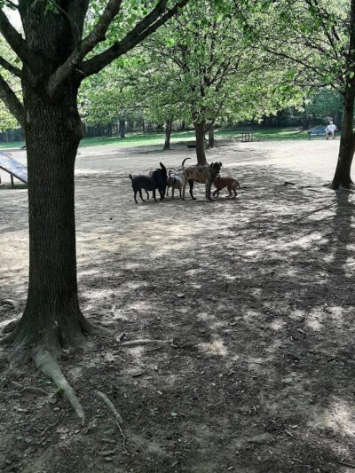 Greenway Farms Dog Park - Hixson, TN