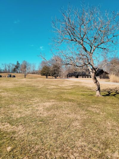 Greenway Farms Dog Park - Hixson, TN