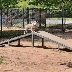 Greenway Farms Dog Park - Hixson, TN