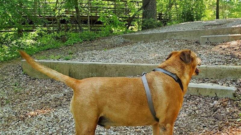 Greenway Farms Dog Park - Hixson, TN