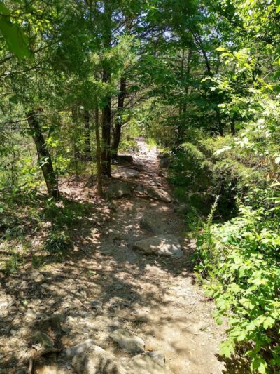 Greenway Farms Dog Park - Hixson, TN