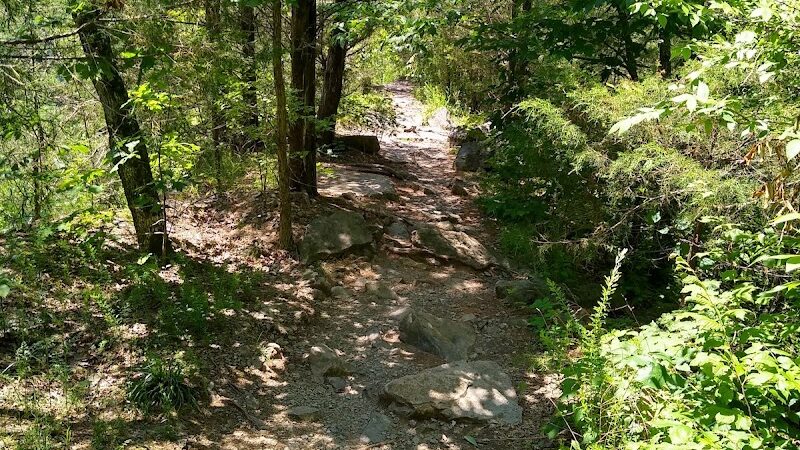 Greenway Farms Dog Park - Hixson, TN