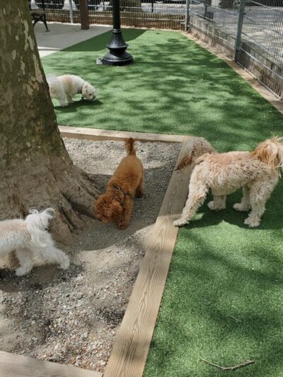 Church Square Park Dog Park - Hoboken, NJ