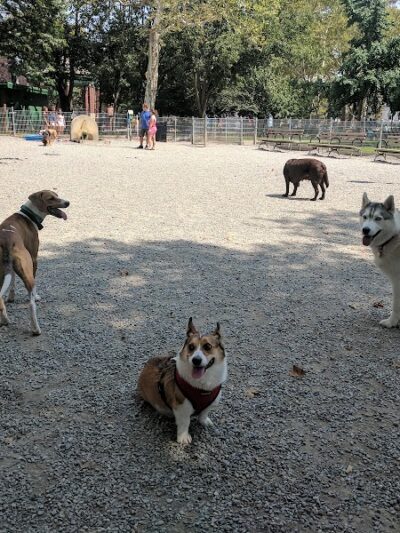 Church Square Park Dog Park - Hoboken, NJ