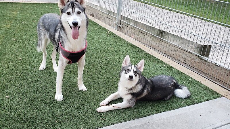 Church Square Park Dog Park - Hoboken, NJ