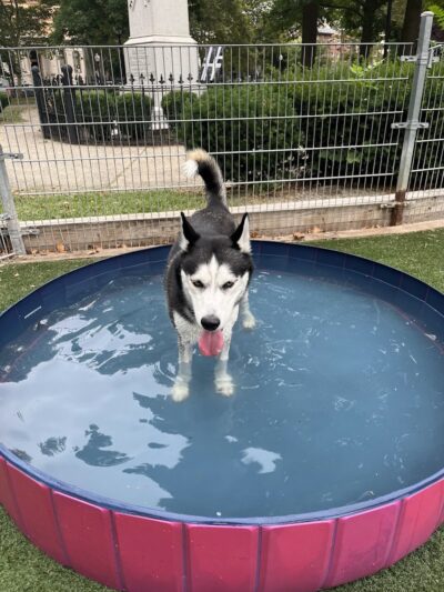 Church Square Park Dog Park - Hoboken, NJ