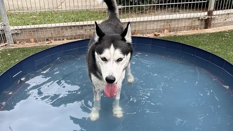 Church Square Park Dog Park - Hoboken, NJ