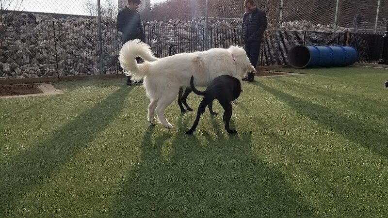 Viaduct Park Dog Park - Hoboken, NJ