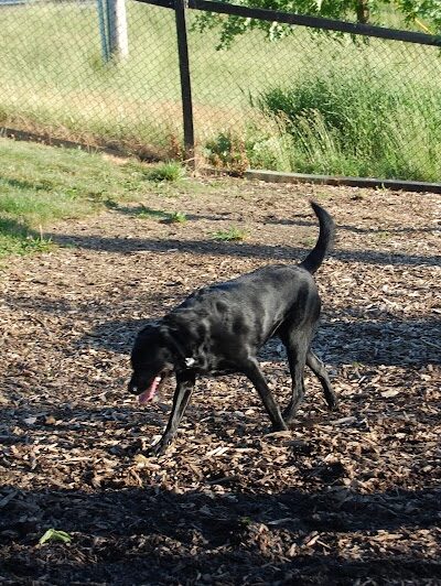 Bo's Run Dog Park - Hoffman Estates, IL