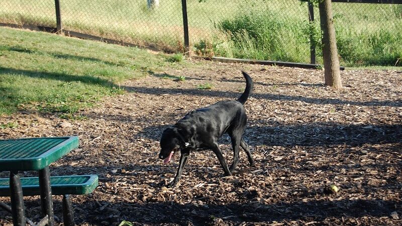Bo's Run Dog Park - Hoffman Estates, IL