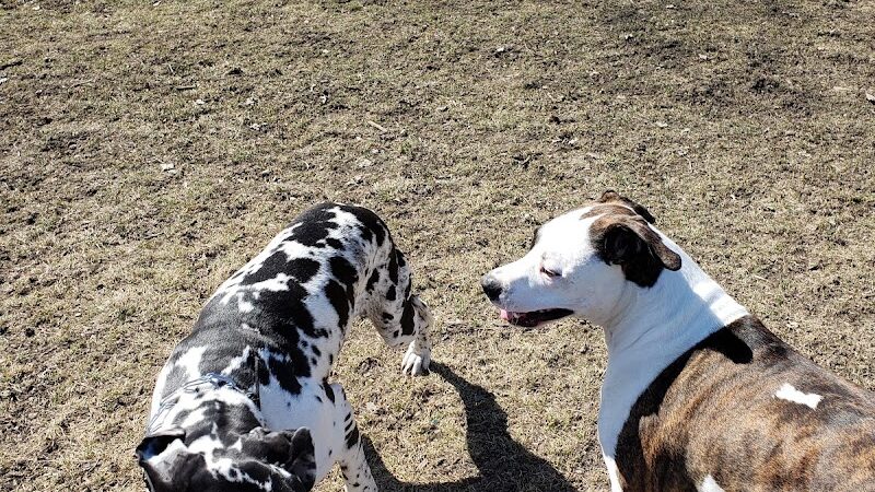 Bo's Run Dog Park - Hoffman Estates, IL