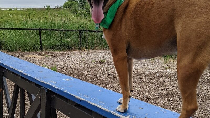Bo's Run Dog Park - Hoffman Estates, IL