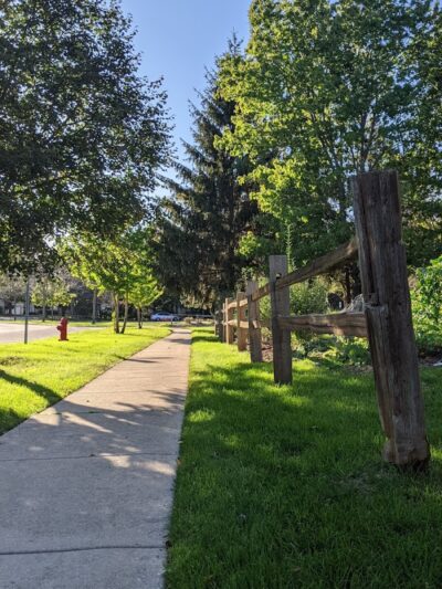 Freedom Run Dog Park - Hoffman Estates, IL